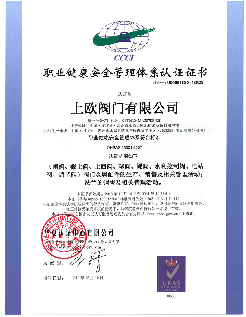ISO18001�I(y��)���������wϵ�J�C�����ģ�.jpg